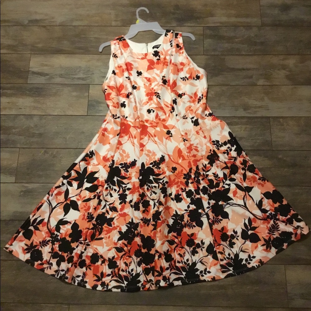 Floral Gored Springtime Dress